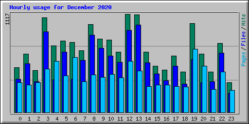 Hourly usage for December 2020