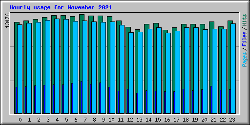Hourly usage for November 2021
