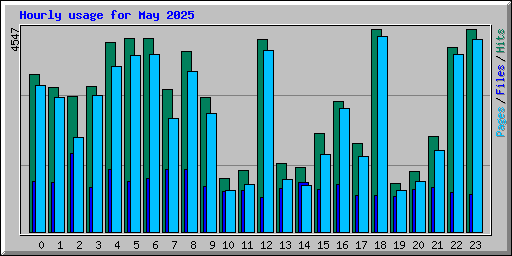 Hourly usage for May 2025