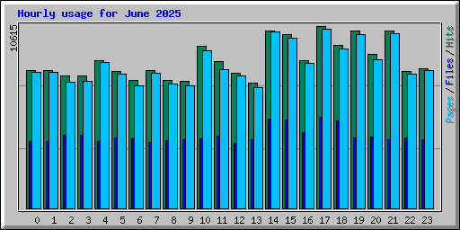 Hourly usage for June 2025