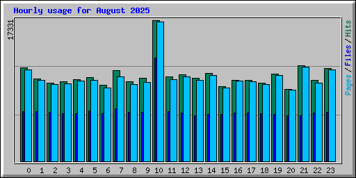 Hourly usage for August 2025